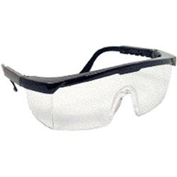 Great Neck 17508 Fits Over Personal Glasses Safety