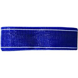 Thermwell Pw39b 2.25 X 39 In. Blue Re-webbing Kit