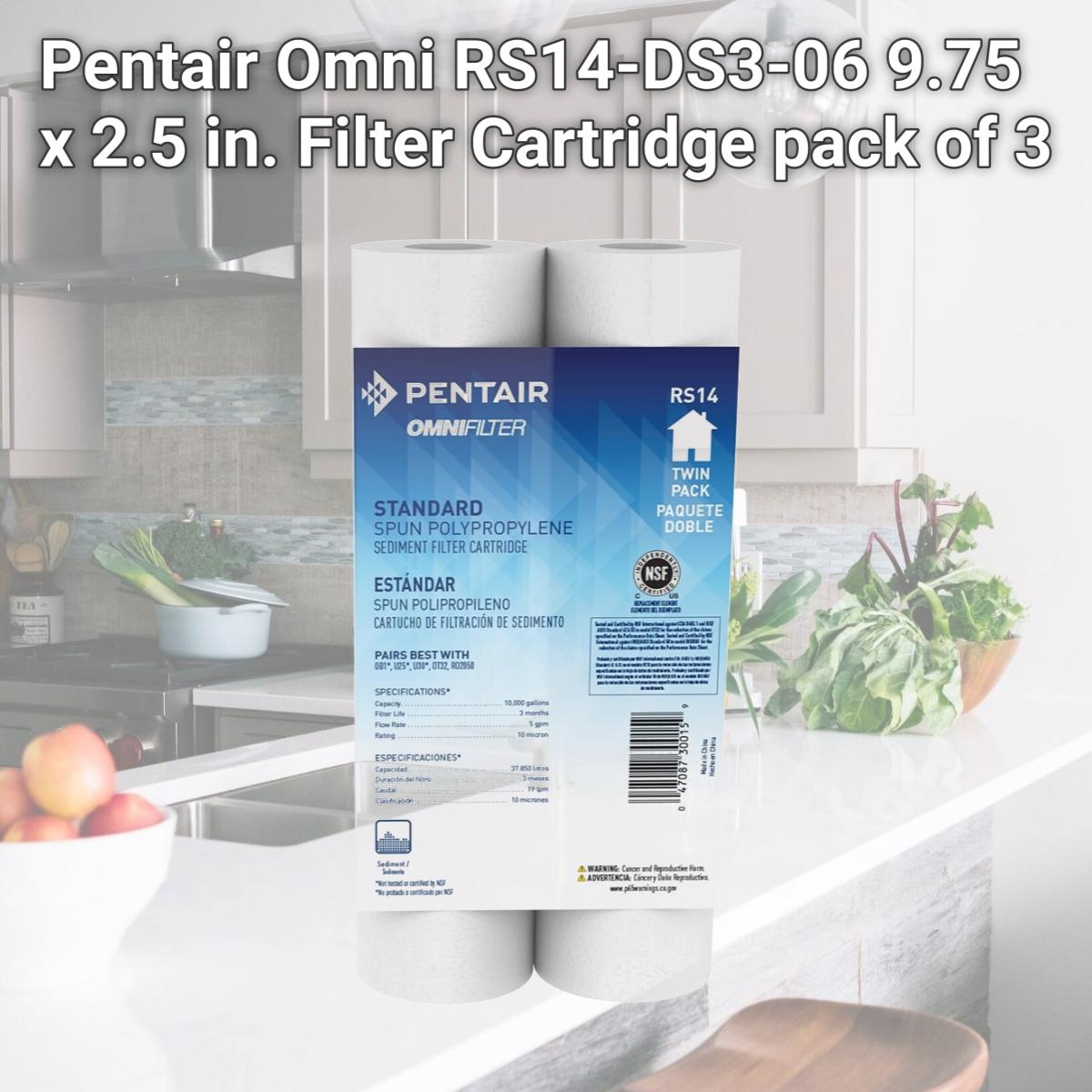 Picture of Pentair Omni RS14-DS3-06 9.75 x 2.5 in. Filter Cartridge pack of 3