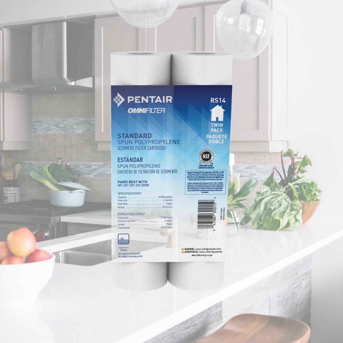 Picture of Pentair Omni RS14-DS3-06 9.75 x 2.5 in. Filter Cartridge pack of 3