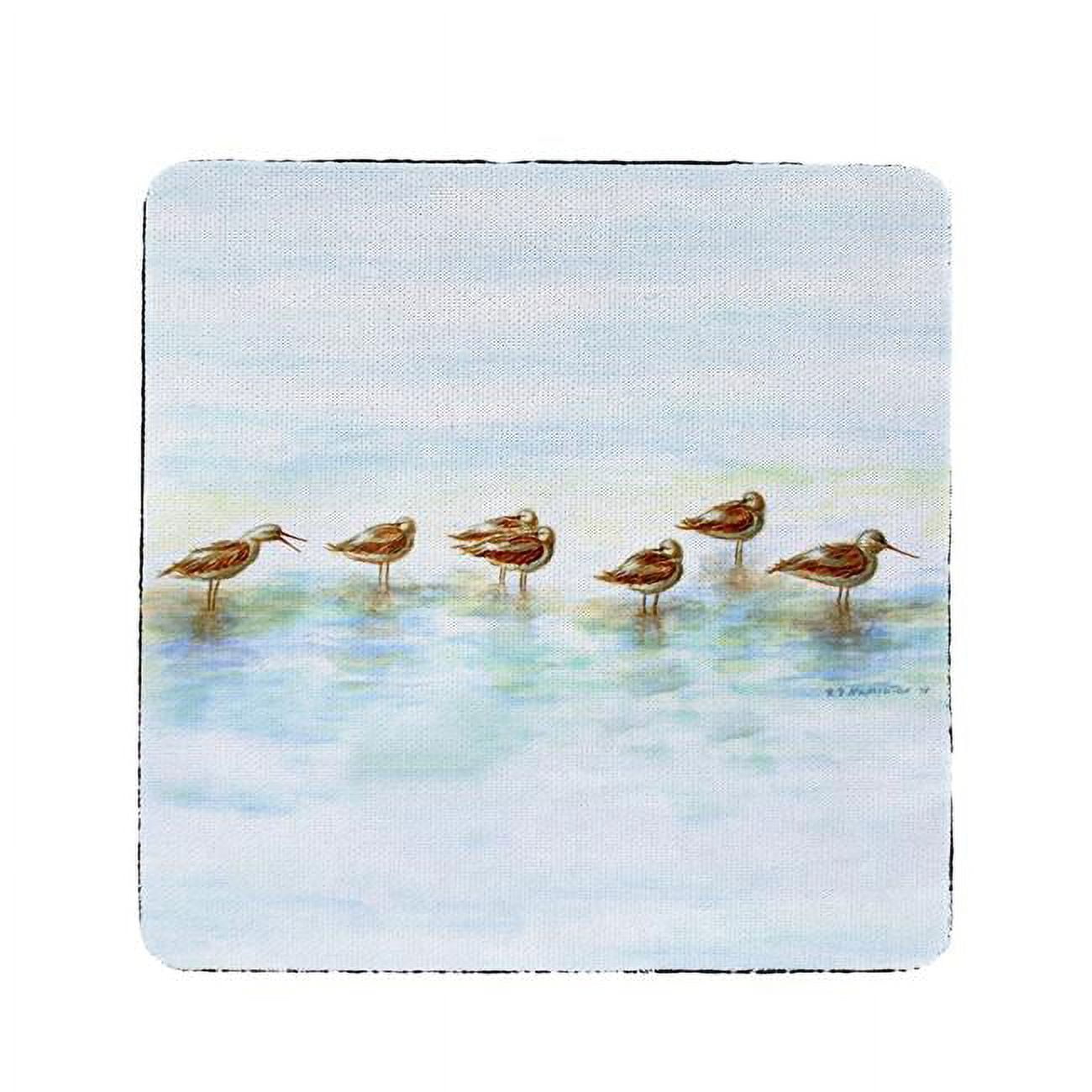 Ct024 Avocets Coaster - Set Of 4