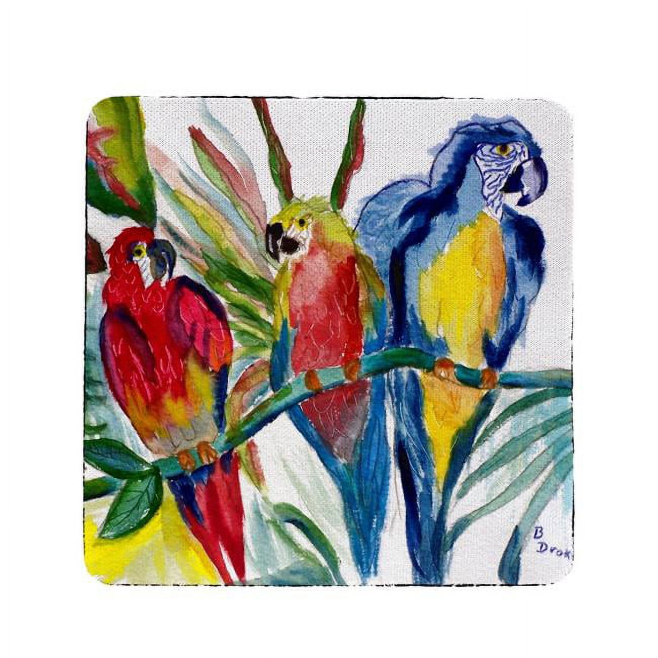 Ct217 Parrot Family Coaster - Set Of 4