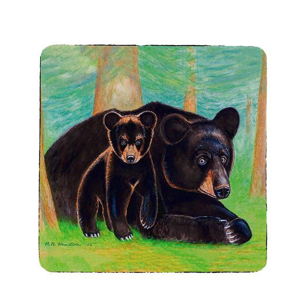 Ct219 Bear Cub Coaster - Set Of 4