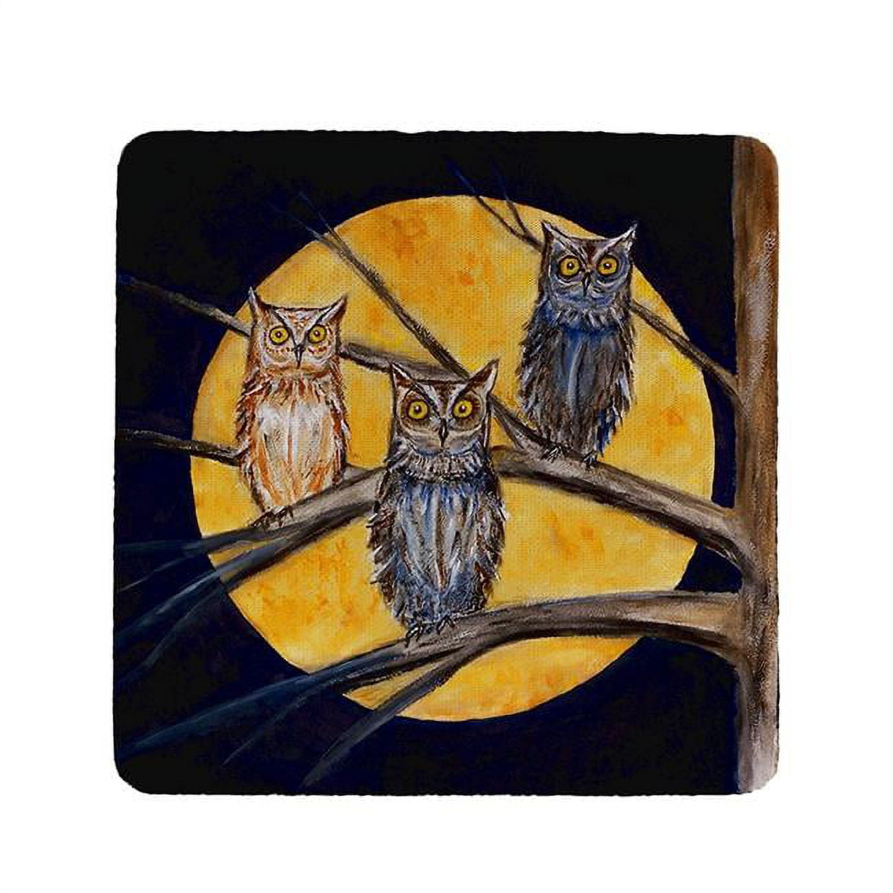 Ct248 Night Owls Coaster - Set Of 4