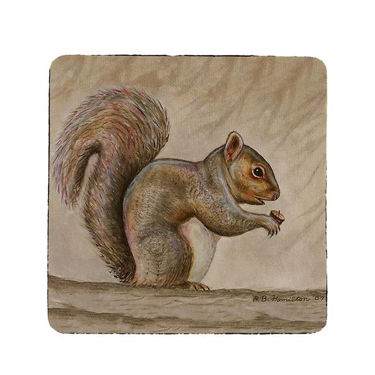 Ct314 Squirrel Coaster - Set Of 4