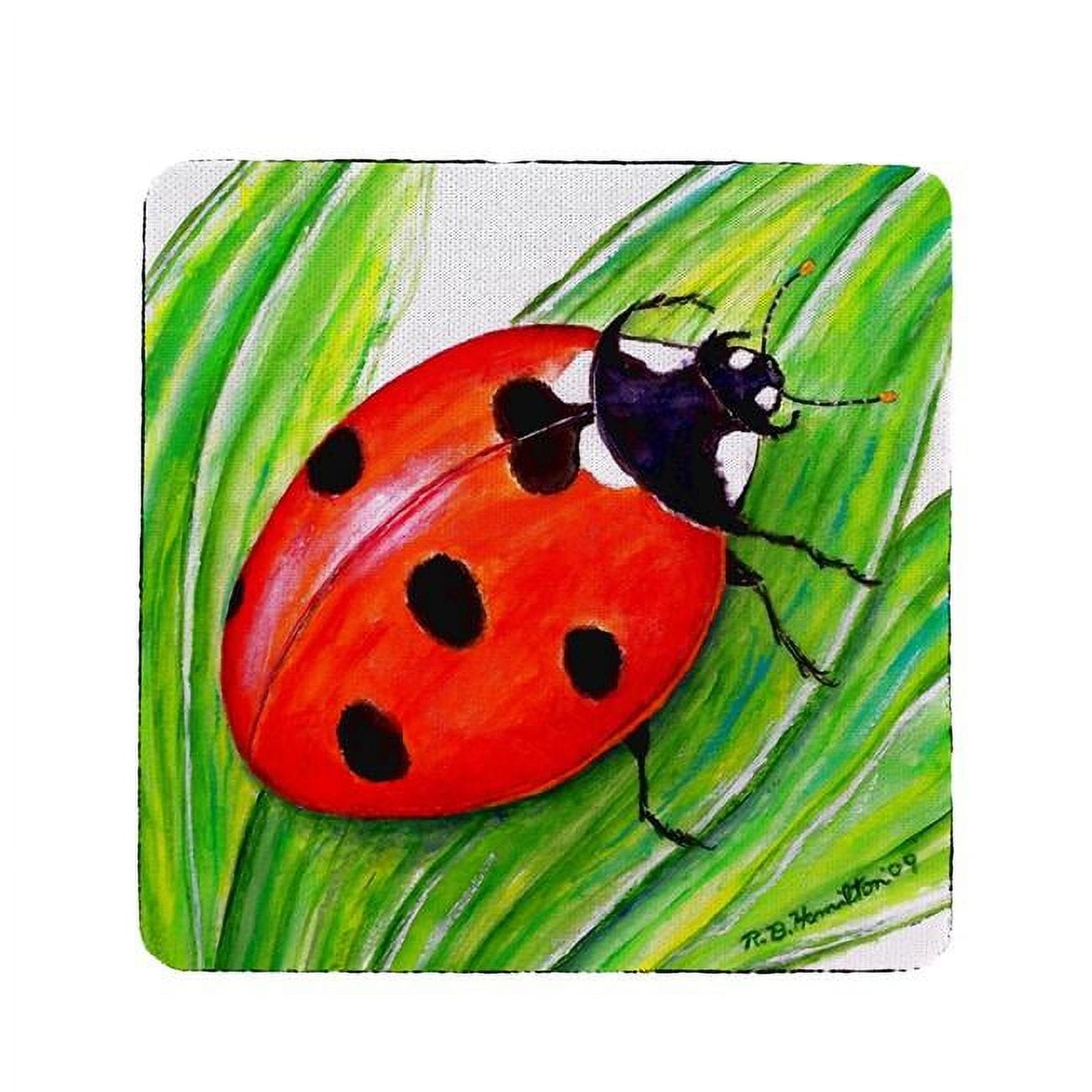 Ct457 Ladybug Coaster - Set Of 4