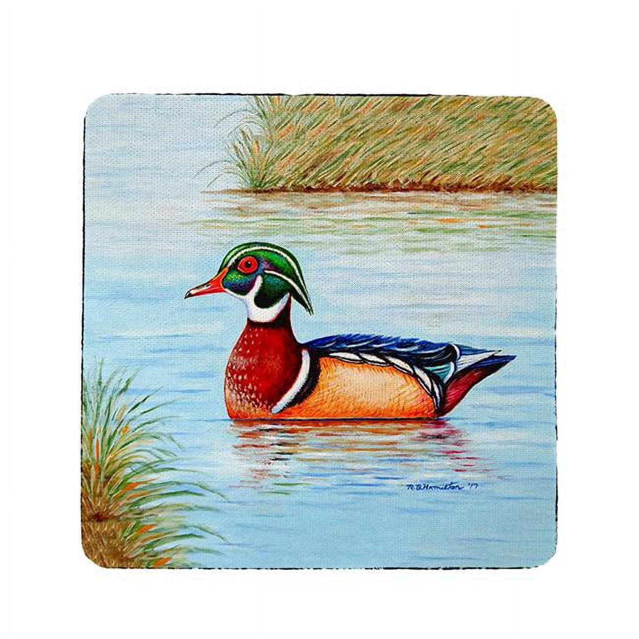 Ct652 Wood Duck Coaster - Set Of 4