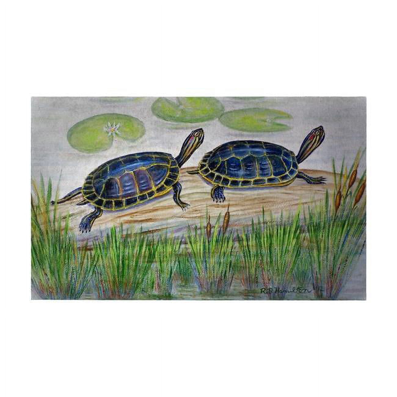 Dm045g Two Turtles Door Mat - 30 X 50 In.