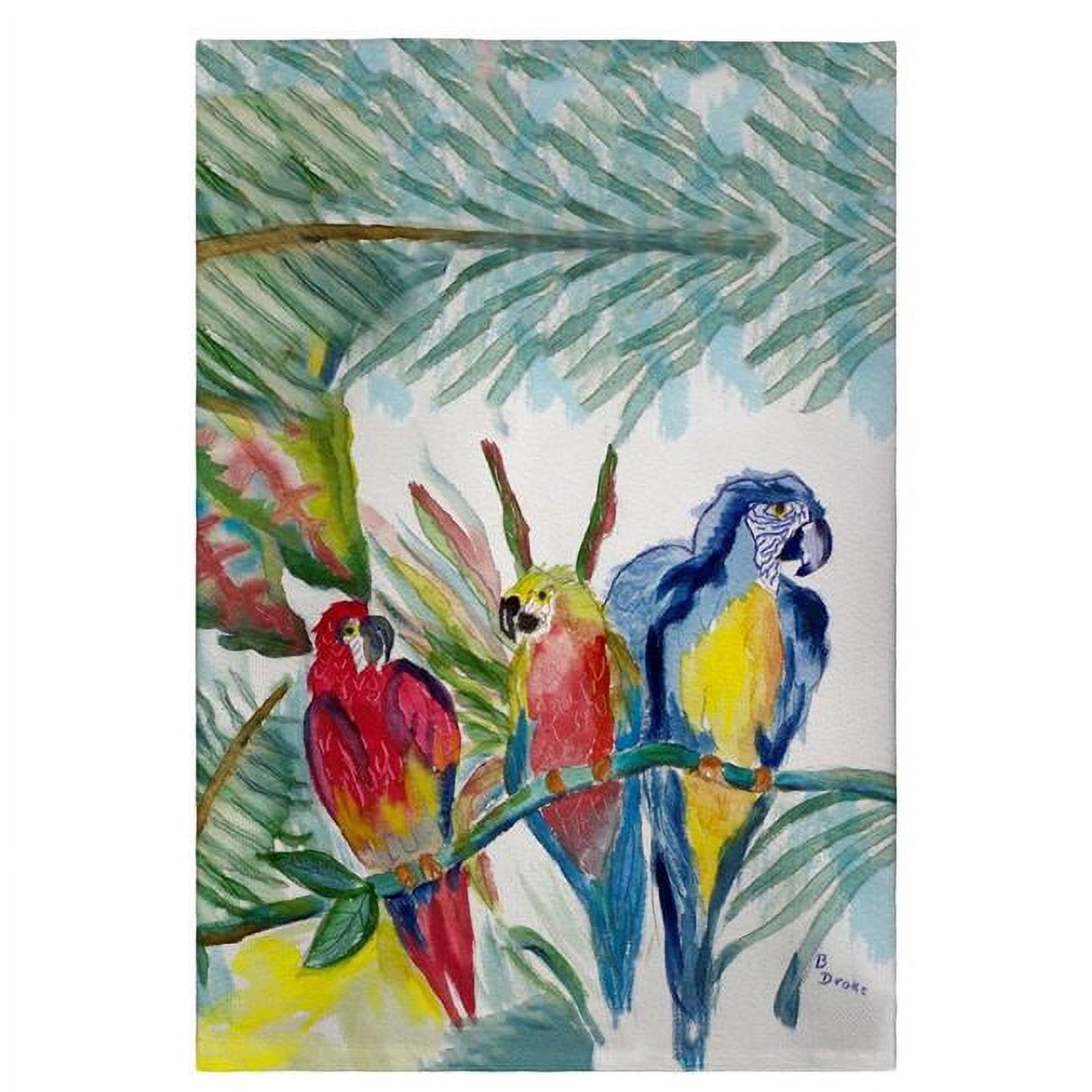 Gt217 Parrot Family Guest Towel - 20 X 20 In.