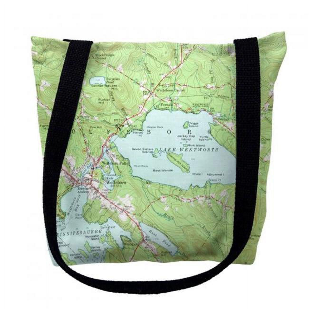 Ty654m 16 X 16 In. Lake Wentworth New Hampshire Nautical Map Tote Bag - Medium