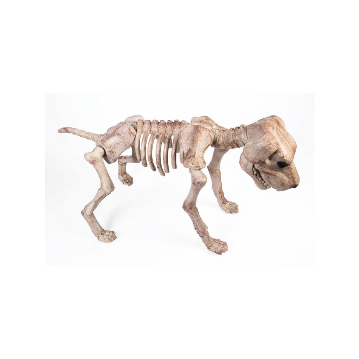 277275 Bone Skeleton Dog
