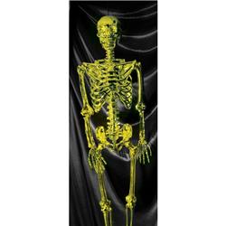 277679 Halloween 60 In. Posable Gold Skeleton - Nominal Size