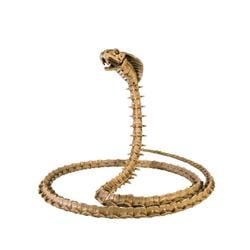 277692 Halloween Skeleton Cobra Prop - Nominal Size