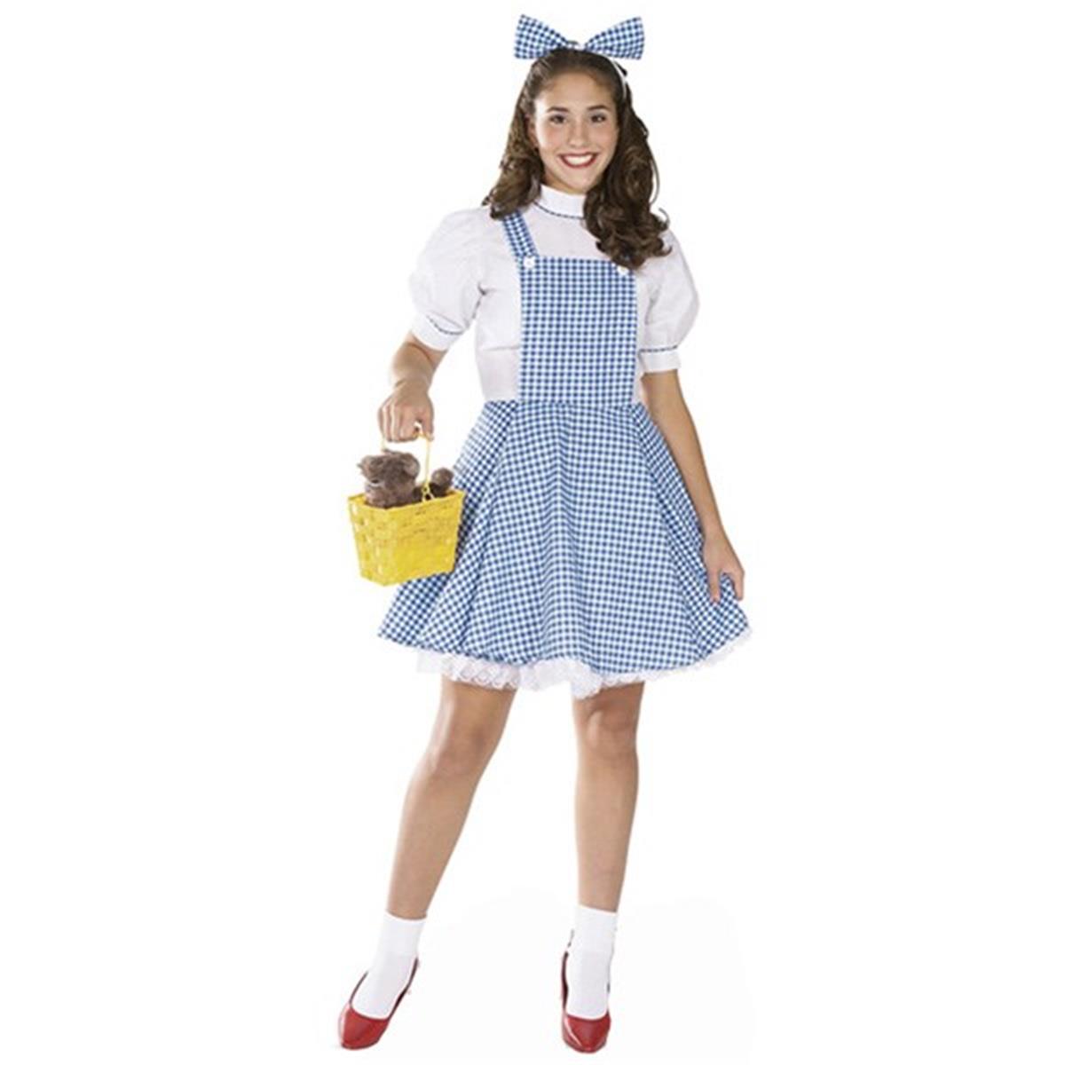 113557 The Wizard Of Oz Dorothy Teen Costume - Teen