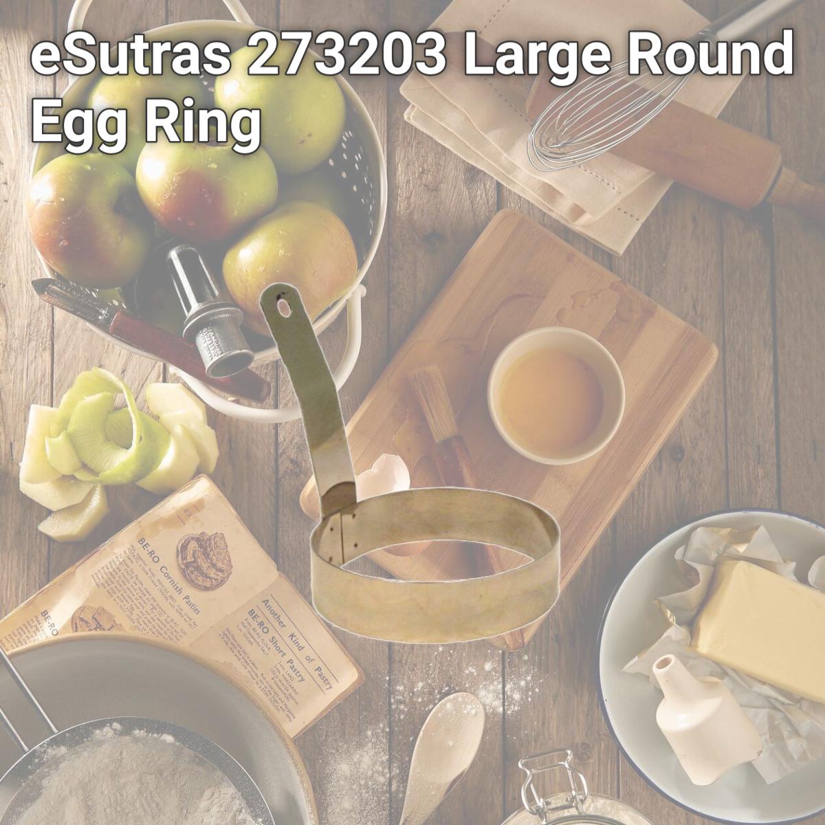 Picture of eSutras 273203 Large Round Egg Ring