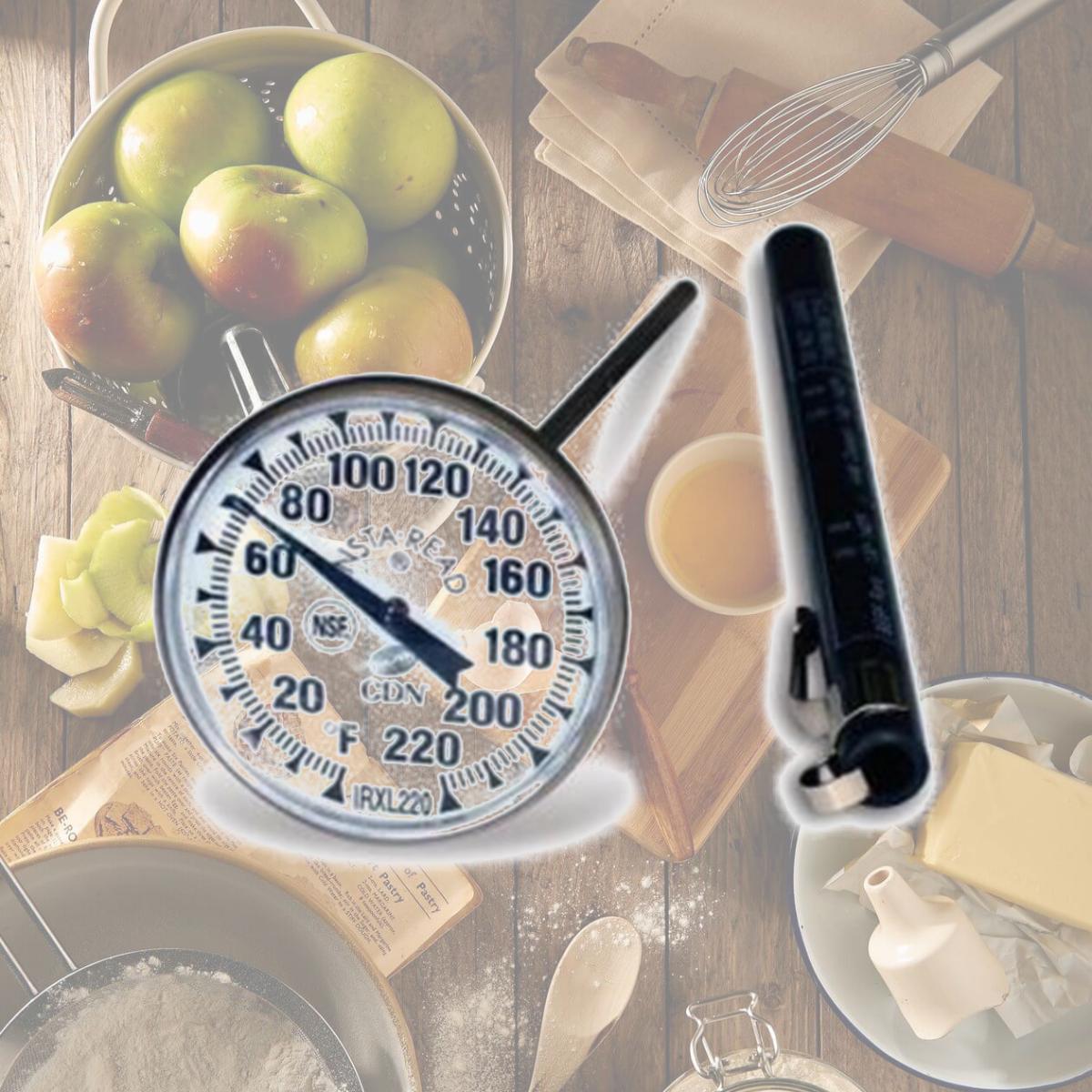 Picture of CDN IRXL220 ProAccurate Insta-Read Large Dial Cooking Thermometer