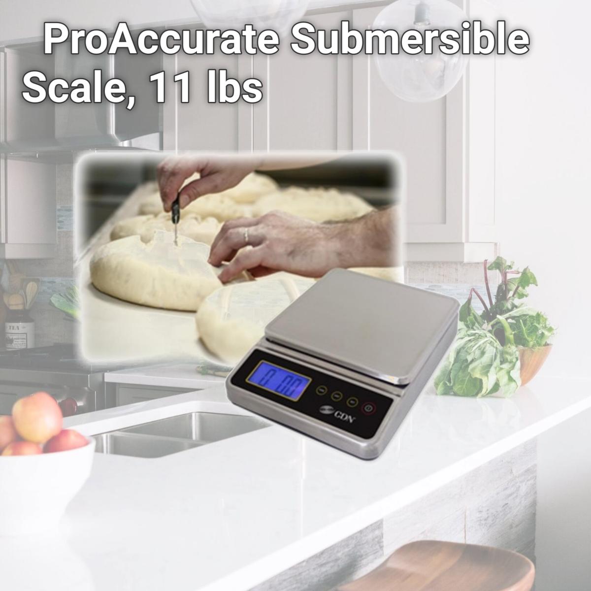 Picture of CDN SD1110X ProAccurate Submersible Scale, 11 lbs