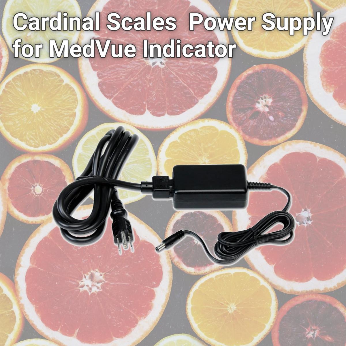 Picture of Detecto  MV1PWR Power Supply for MedVue Indicator