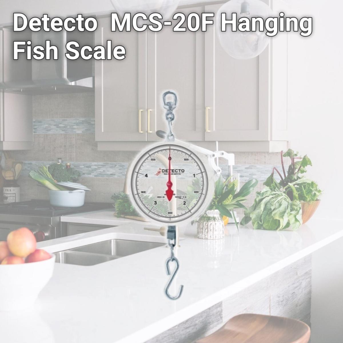 Picture of Detecto  MCS-20F Hanging Fish Scale