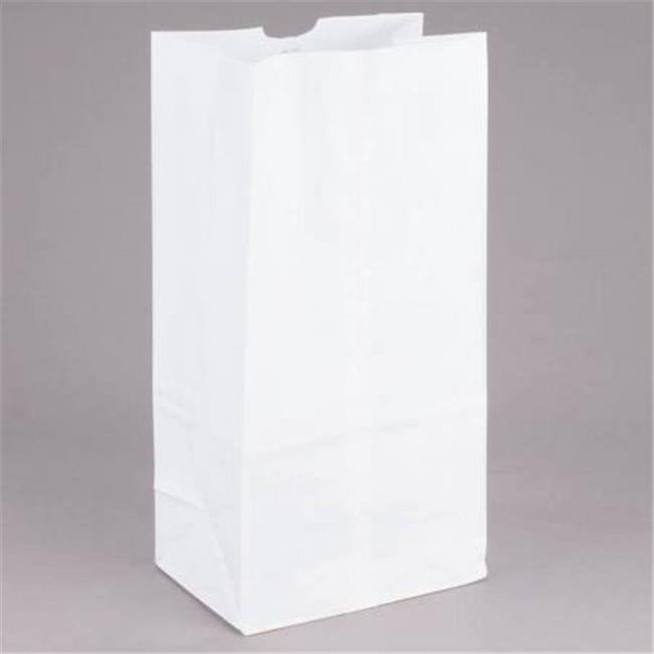 8.25 X 5.31 X 16.13 In. White Paper Bag, 20 Lb - Case Of 500