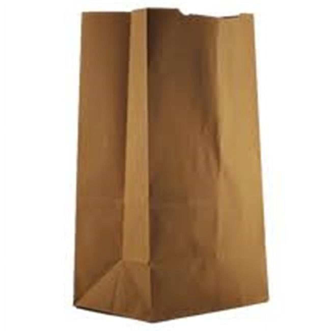 81187 9.75 X 6.25 X 16.25 In. Recycled Paper Bags Kraft - Case Of 500