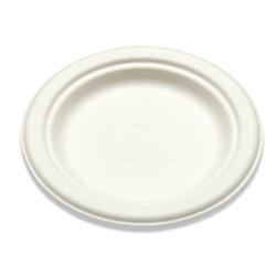 Whbrg-06 6 In. Sugarcane Bagasse Plate, White - Case Of 1000