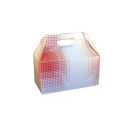 3525 Pec Plaid Medium Takhome Box, 9 X 5 X 5 In. - Pack Of 125