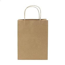 Nt10513plain Cpc 10 X 5 X 13 In. Plain Shopper Bag, Case Of 250