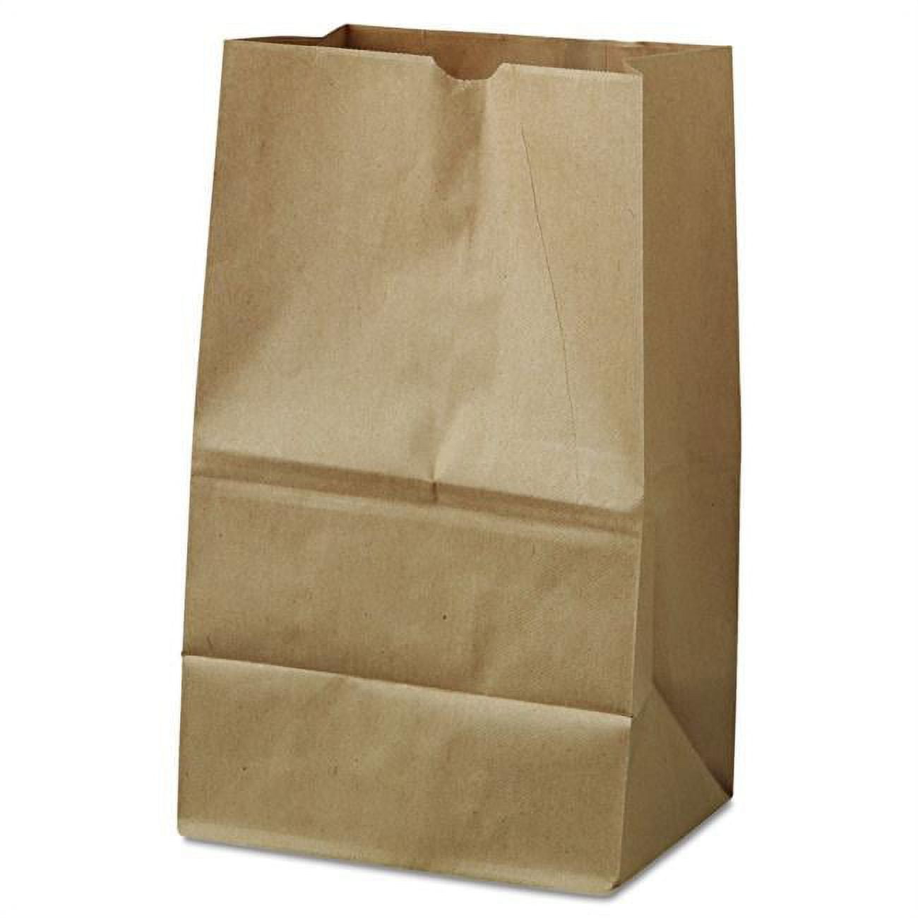 Duro Hilex Poly 18421 Grocery Bag - Case Of 500