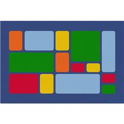 Cpr3029 Color Block Primary Rectangle Carpet - Small