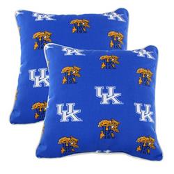 Kenodp 16 X 16 In. Kentucky Wildcats Outdoor Decorative Pillow