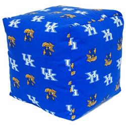 18 X 18 In. Kentucky Wildcats Cube Cushion