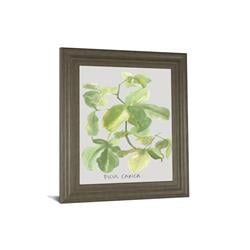 8461 22 X 26 In. Ficus Carica By Katrien Soeffers Framed Print Wall Art