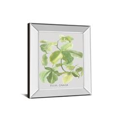 8461mf 22 X 26 In. Ficus Carica By Katrien Soeffers Mirror Framed Print Wall Art