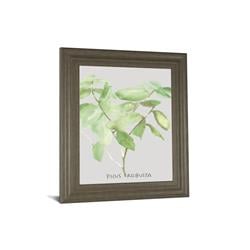 8462 22 X 26 In. Ficus Robusta By Katrien Soeffers Framed Print Wall Art