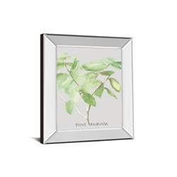 8462mf 22 X 26 In. Ficus Robusta By Katrien Soeffers Mirror Framed Print Wall Art