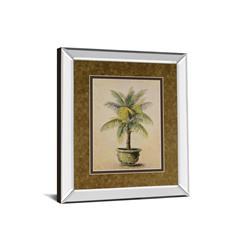 Dm2158mf 34 X 40 In. Potted Palm I Mirror Framed Print Wall Art