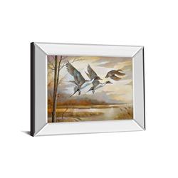 113mf 22 X 26 In. Pintails Mirror Framed Print Wall Art