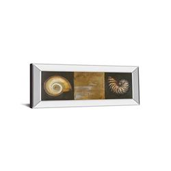 1243mf 18 X 42 In. Seashells I By Patricia Pinto Mirror Framed Print Wall Art
