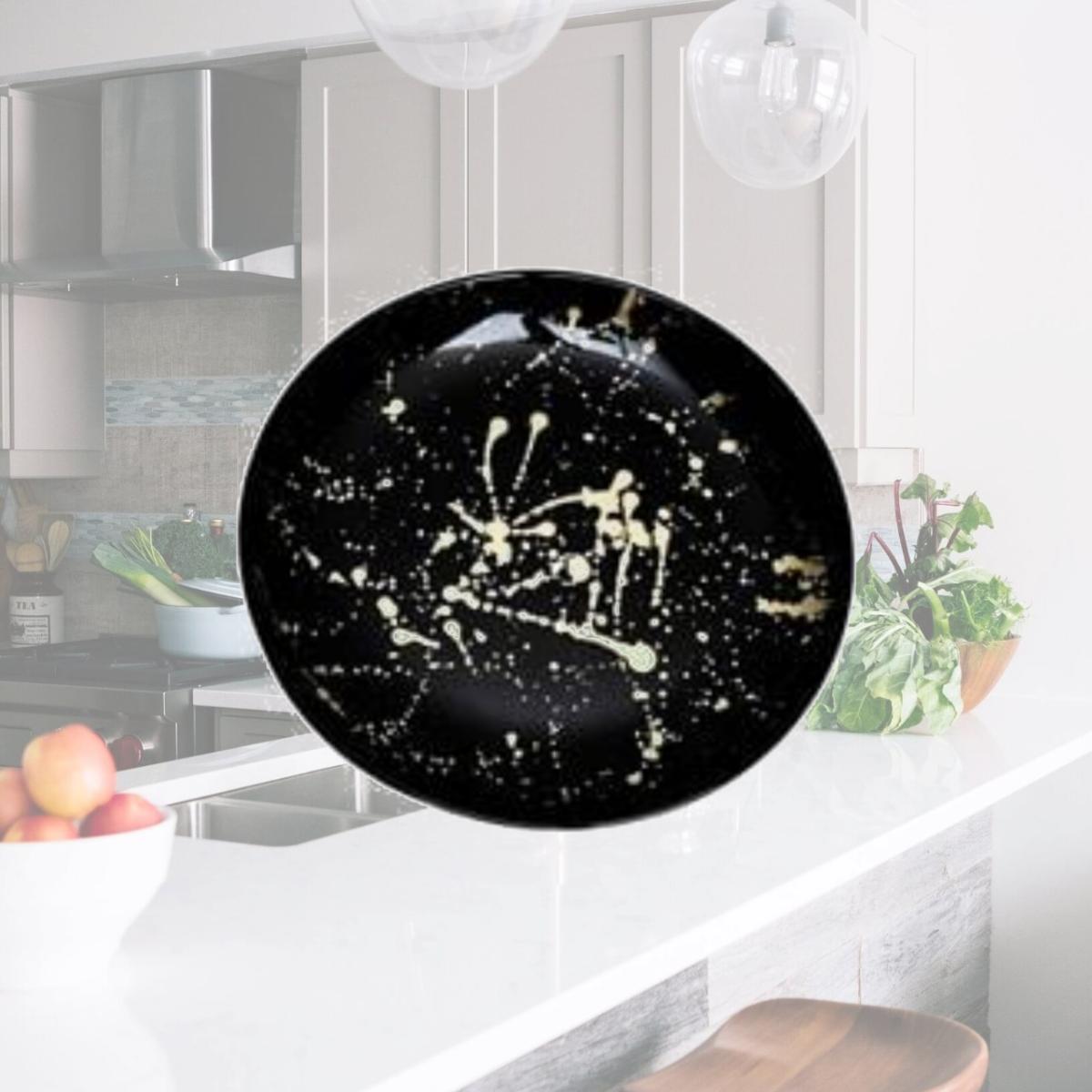 Picture of Classic Touch CP1065 8 in. Trophy Salad Plates with Splashy Gold Design, Black - Set of 4