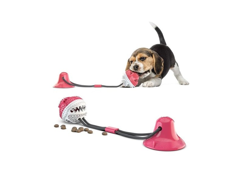 APT01RW Dental Care Dog Chew Toy with Suction Cup