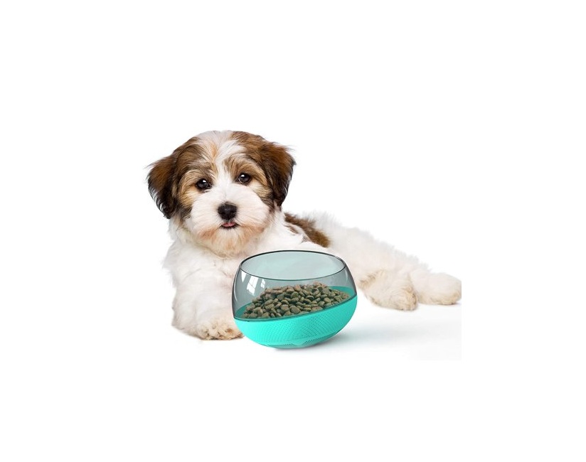 APF03B No-Spill Interactive Slow Feeding Bowl, Blue