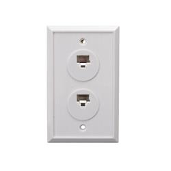2-port Wall Plate With 8p8c Jack