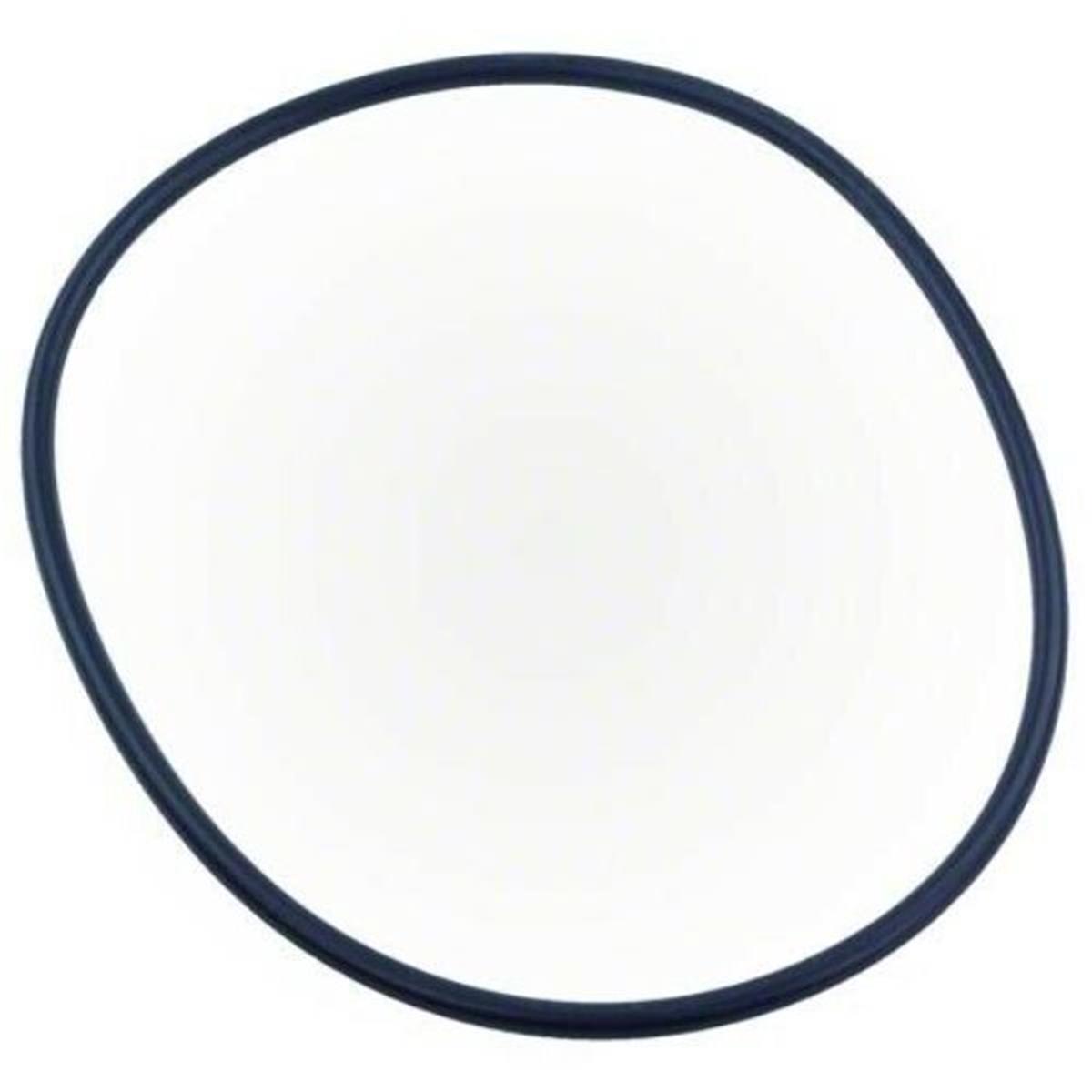 351446 XF Series Pump Seal Plate O-Ring