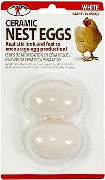 1213893 Ceramic Nest Eggs, White - Pack Of 2
