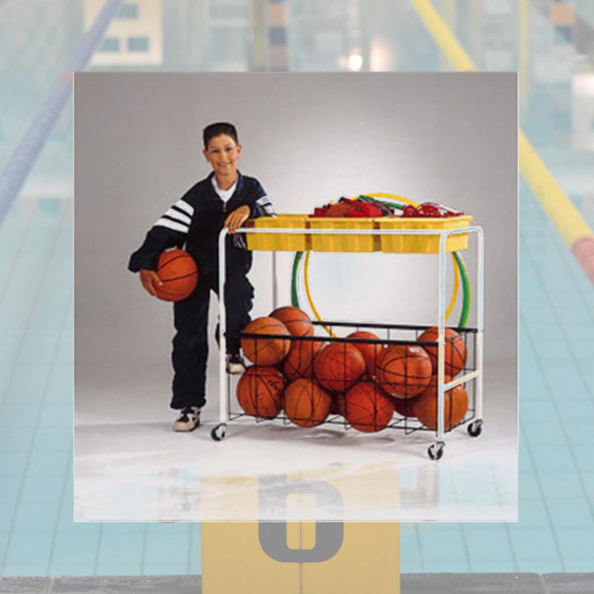 Picture of Copernicus BC300 Phys Ed Cart