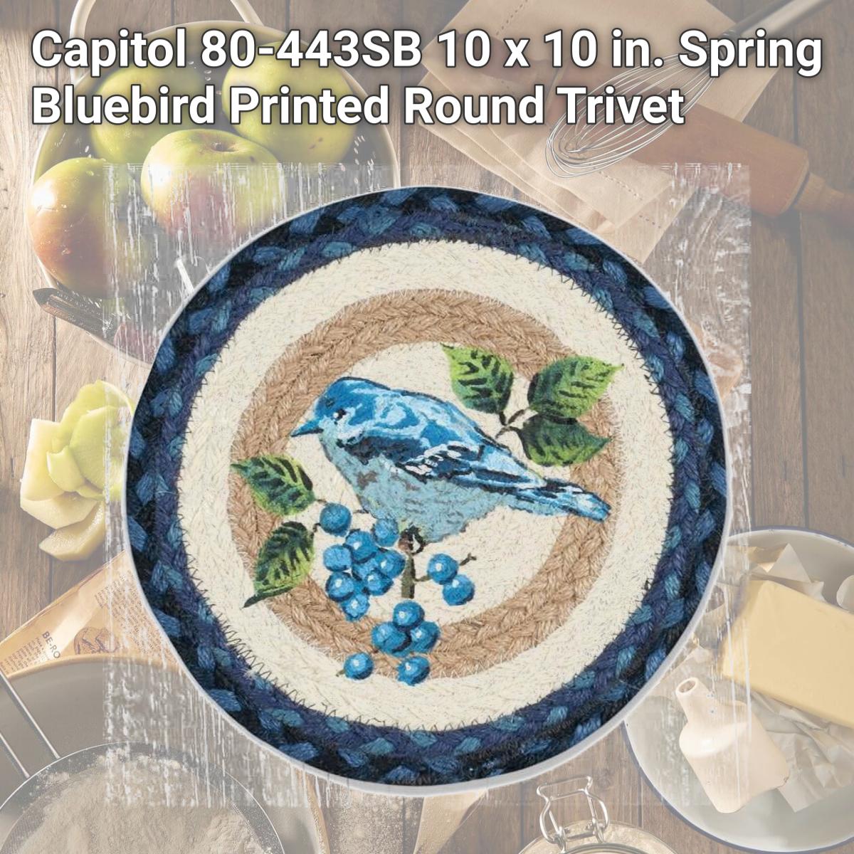 Picture of Capitol 80-443SB 10 x 10 in. Spring Bluebird Printed Round Trivet