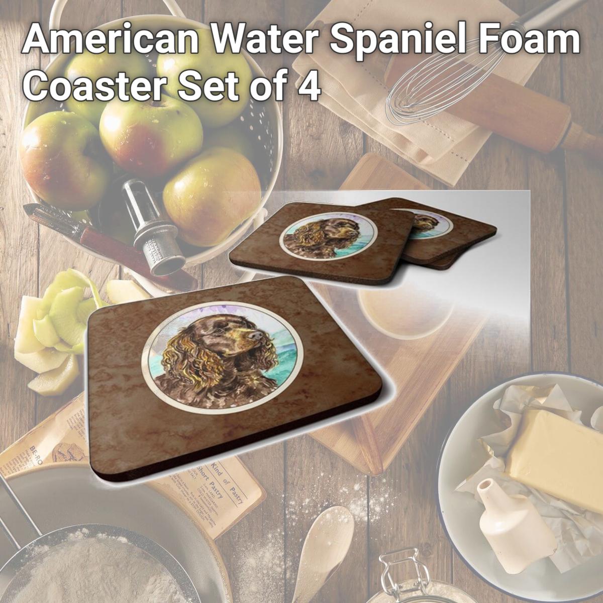 Picture of Carolines Treasures 7008FC American Water Spaniel Foam Coaster, Set of 4