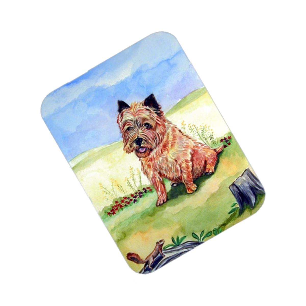 Picture of Carolines Treasures 7017LCB Cairn Terrier and the chipmunk Glass Cutting Board - Large- 15 x 12 in.