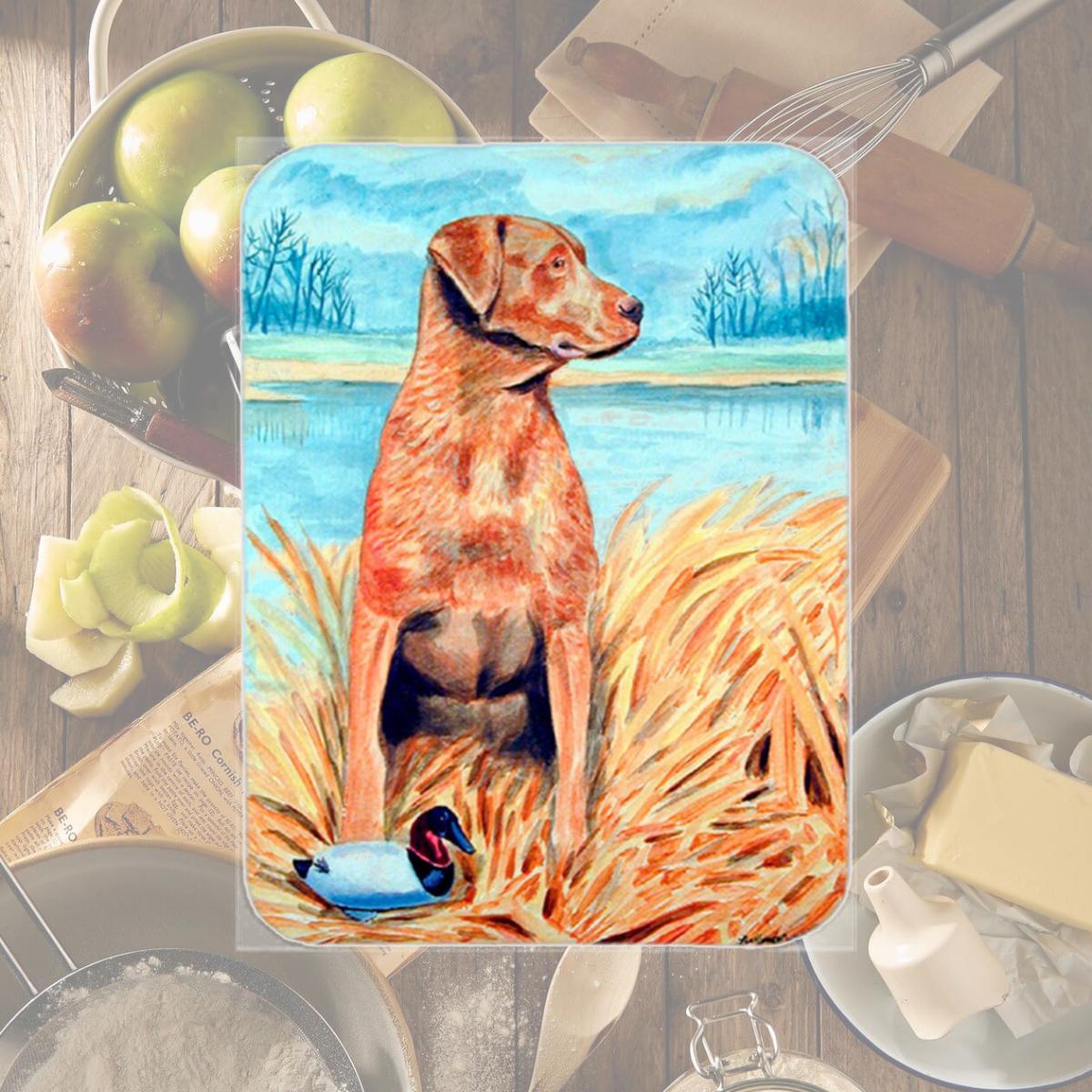 Picture of Carolines Treasures 7112LCB Chesapeake Bay Retriever Glass Cutting Board - Large- 15 x 12 in.